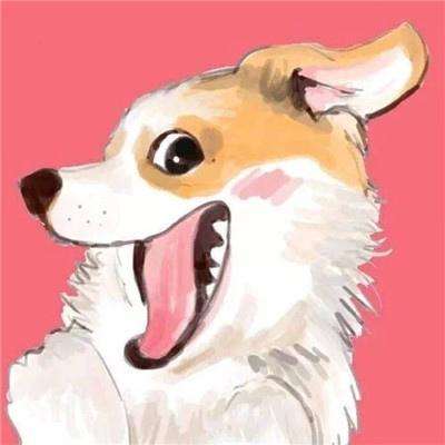 南宫体育app下载安装截图