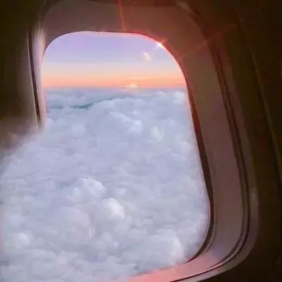 安博.体育app下载