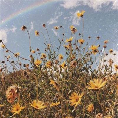 南宫体育app下载安装截图