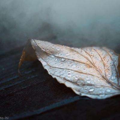 安博体育·(中国)官方网站app下载