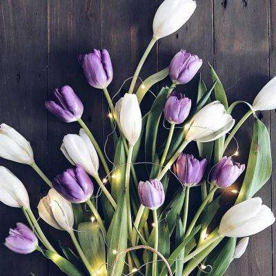 安博体育·(中国)官方网站app下载