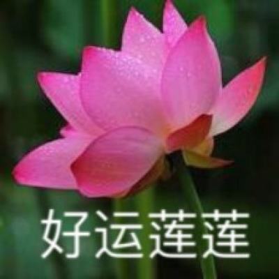 乐鱼app官网正式版下载